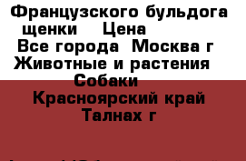 Французского бульдога щенки  › Цена ­ 35 000 - Все города, Москва г. Животные и растения » Собаки   . Красноярский край,Талнах г.